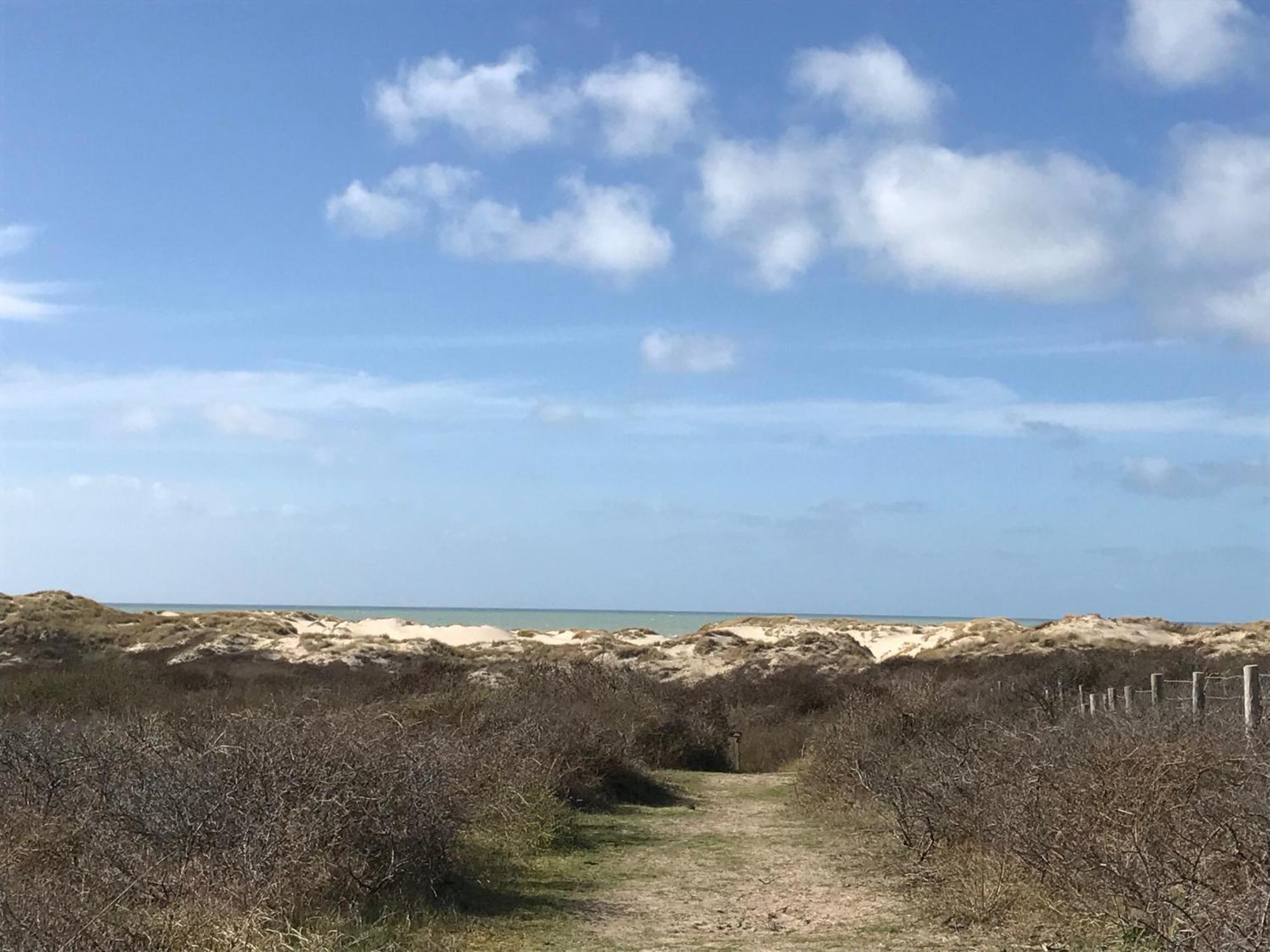 Petale De Rose, Dunes 3 Merlimont-Plage Exteriér fotografie